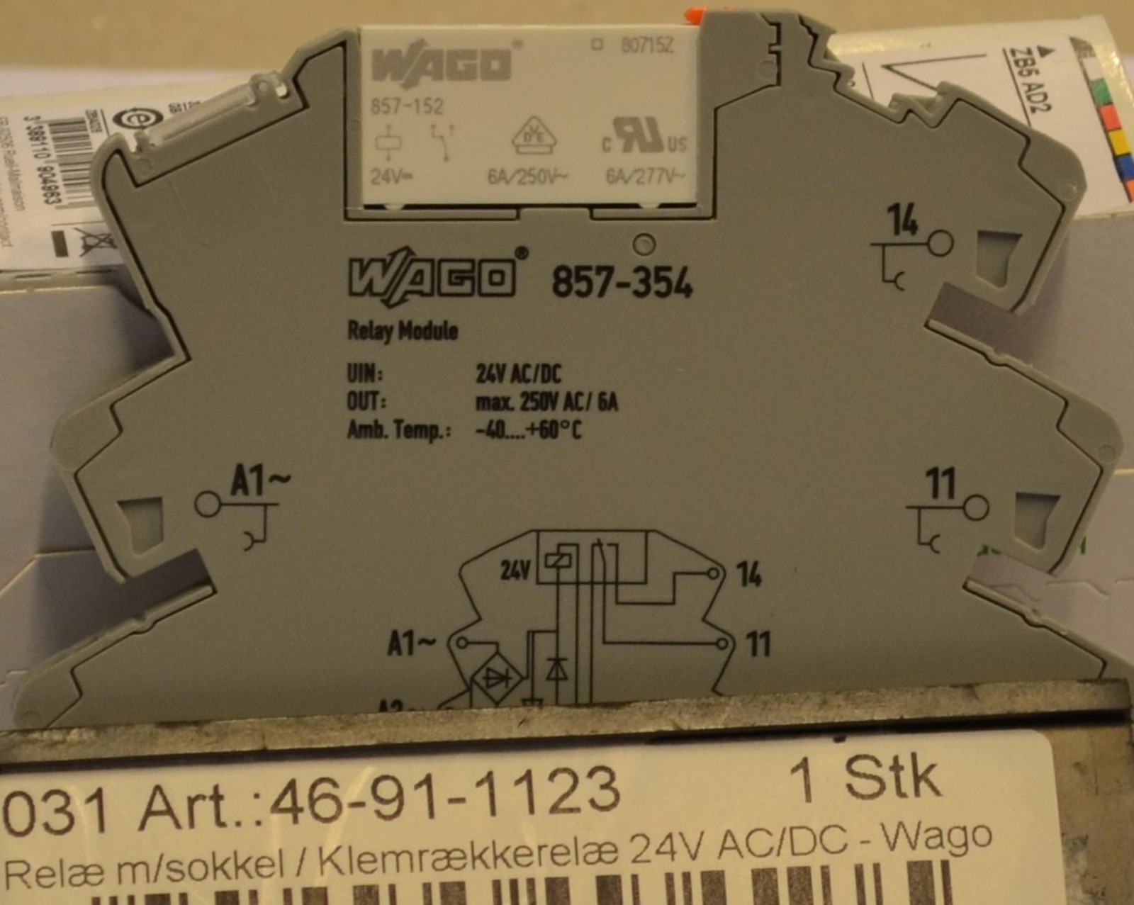 Relay w/base 24V AC/DC - Wago